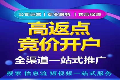 行业专家眼中的SEM竞价培训：成功要素与挑战